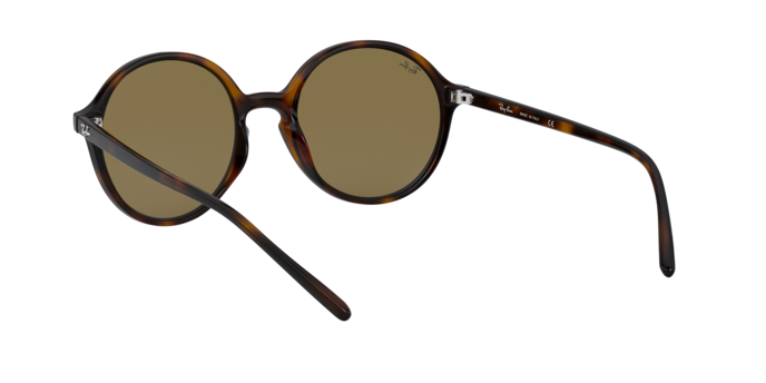 Ray-Ban Sunglasses RB4304 710/73