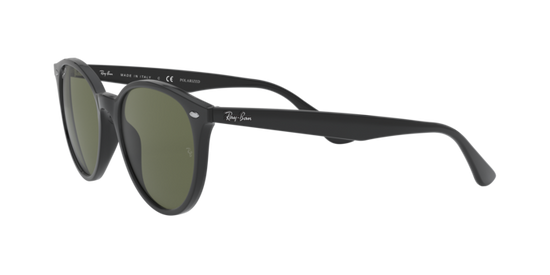 Ray-Ban Sunglasses RB4305 601/9A