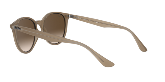 Ray-Ban Sunglasses RB4305 616613