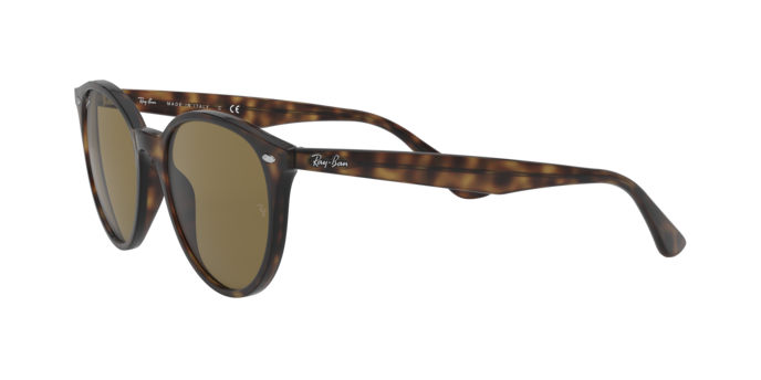 Ray-Ban Sunglasses RB4305 710/73