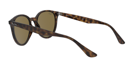 Ray-Ban Sunglasses RB4305 710/73