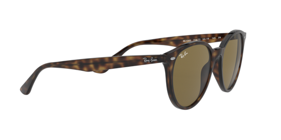 Load image into Gallery viewer, Ray-Ban Sunglasses RB4305 710/73
