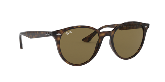 Ray-Ban Sunglasses RB4305 710/73