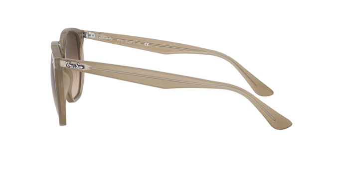 Ray-Ban Sunglasses RB4306 616613