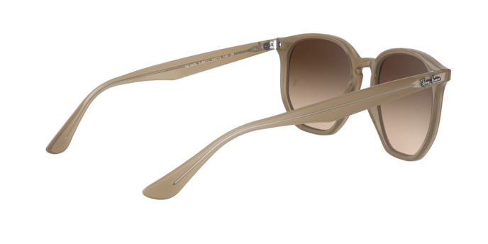 Ray-Ban Sunglasses RB4306 616613