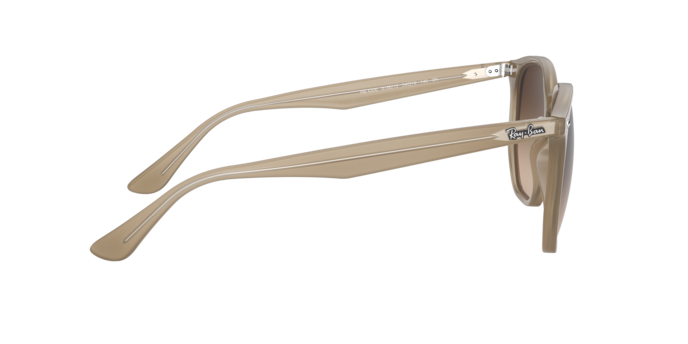 Ray-Ban Sunglasses RB4306 616613