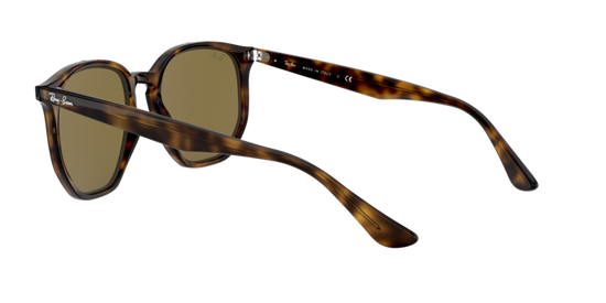 Ray-Ban Sunglasses RB4306 710/73