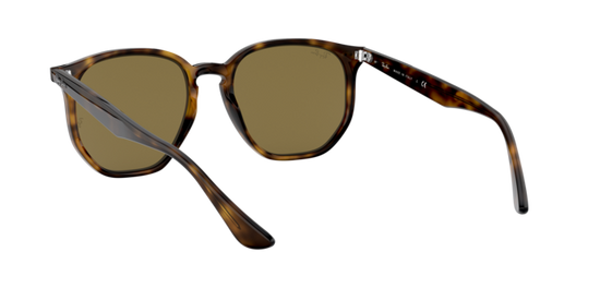 Ray-Ban Sunglasses RB4306 710/73