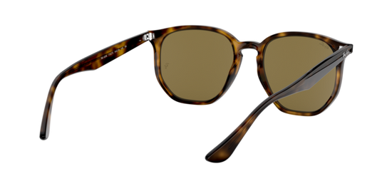 Ray-Ban Sunglasses RB4306 710/73