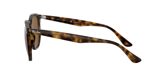 Ray-Ban Sunglasses RB4306 710/83