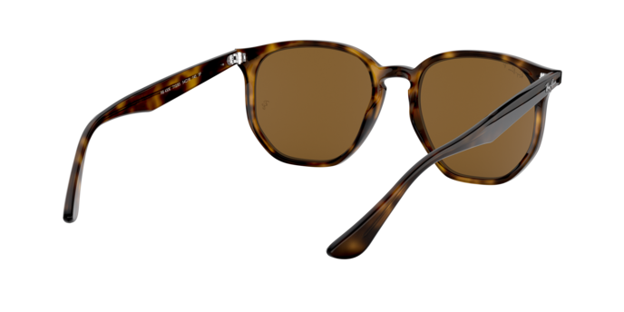 Ray-Ban Sunglasses RB4306 710/83