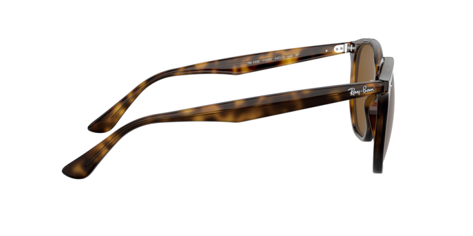 Ray-Ban Sunglasses RB4306 710/83