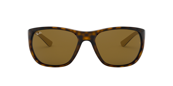 Ray-Ban Sunglasses RB4307 710/73
