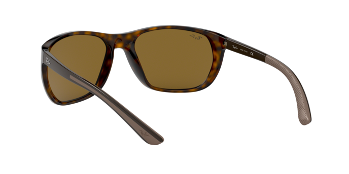 Ray-Ban Sunglasses RB4307 710/73