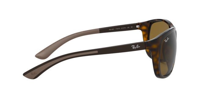 Ray-Ban Sunglasses RB4307 710/73