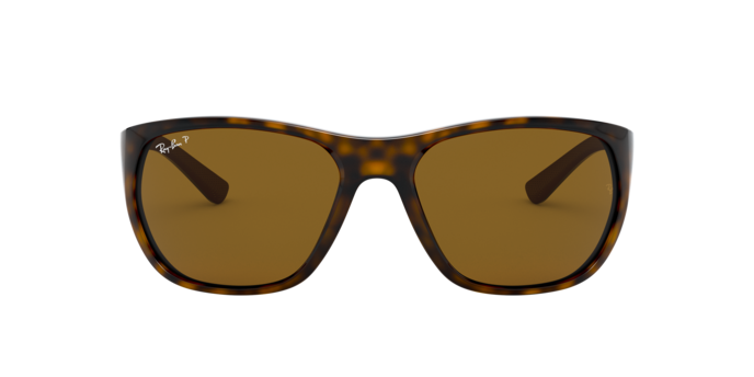 Ray-Ban Sunglasses RB4307 710/83