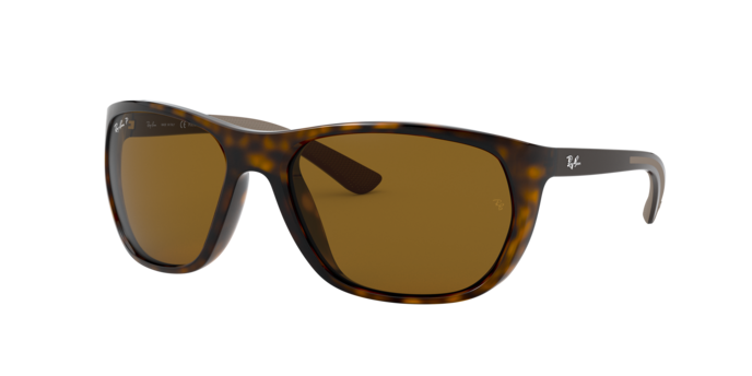 Ray-Ban Sunglasses RB4307 710/83