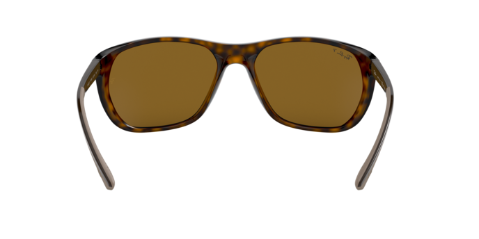 Ray-Ban Sunglasses RB4307 710/83