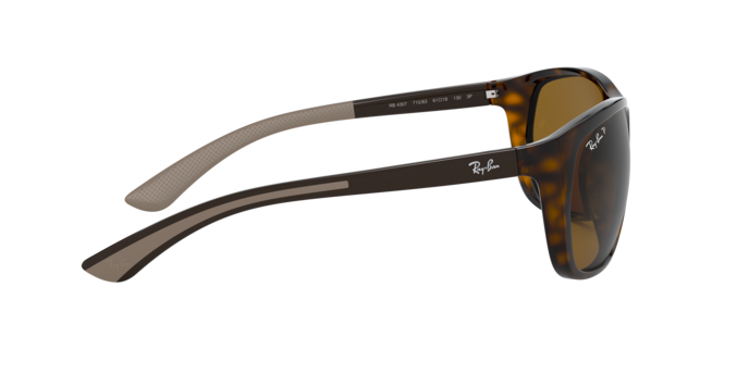 Ray-Ban Sunglasses RB4307 710/83