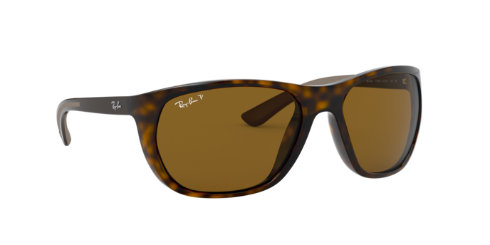 Ray-Ban Sunglasses RB4307 710/83