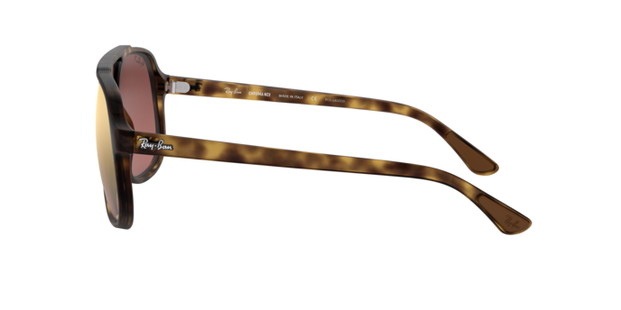 Ray-Ban Sunglasses RB4312CH 894/6B