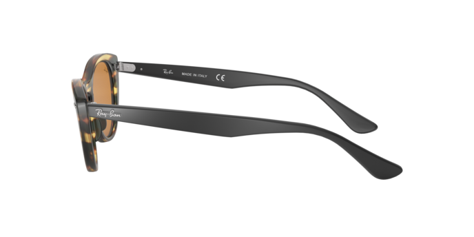 Ray-Ban Nina Sunglasses RB4314N 12483L