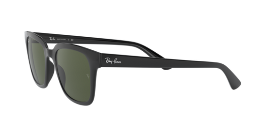 Ray-Ban Sunglasses RB4323 601/31