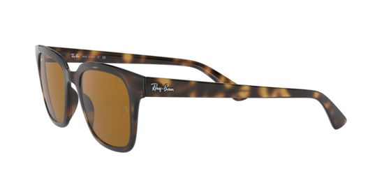 Ray-Ban Sunglasses RB4323 710/33