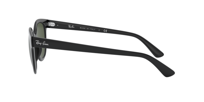 Ray-Ban Sunglasses RB4324 644732