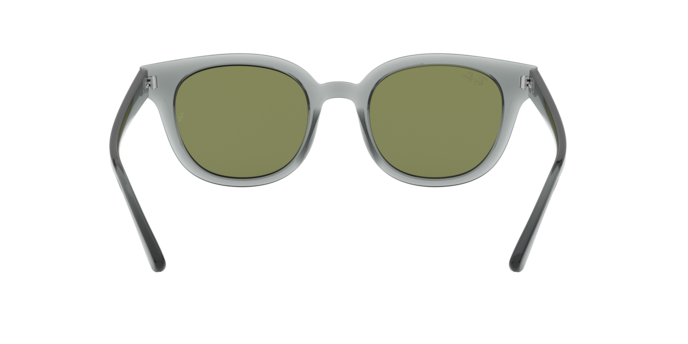 Ray-Ban Sunglasses RB4324 64504E
