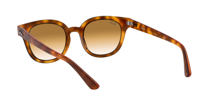 Ray-Ban Sunglasses RB4324 647551