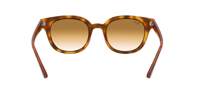 Ray-Ban Sunglasses RB4324 647551