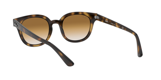 Ray-Ban Sunglasses RB4324 710/51