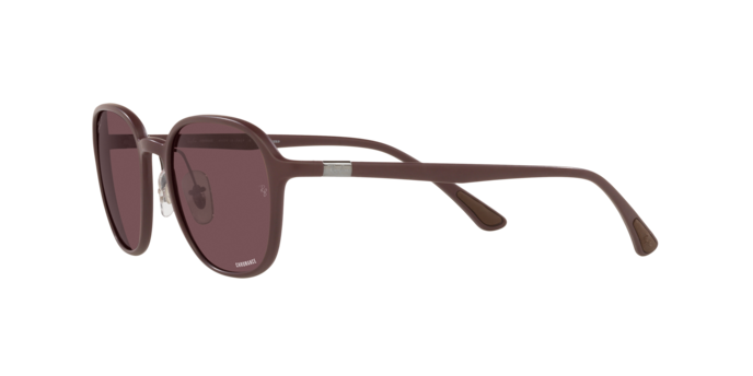 Ray-Ban Sunglasses RB4341CH 6445BC