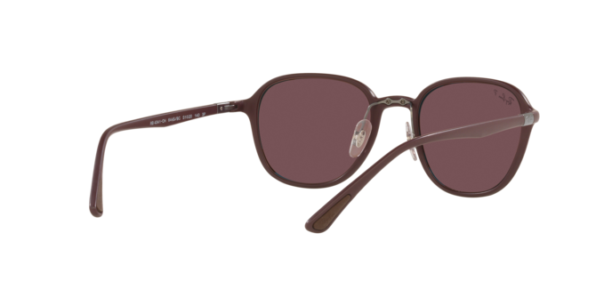 Ray-Ban Sunglasses RB4341CH 6445BC