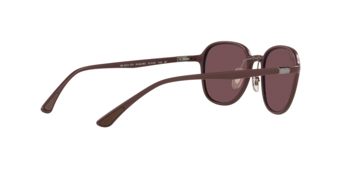 Ray-Ban Sunglasses RB4341CH 6445BC