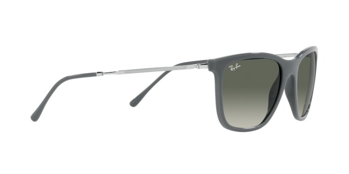 Ray-Ban Sunglasses RB4344 653671