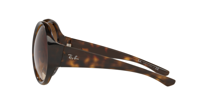 Ray-Ban Sunglasses RB4345 710/13