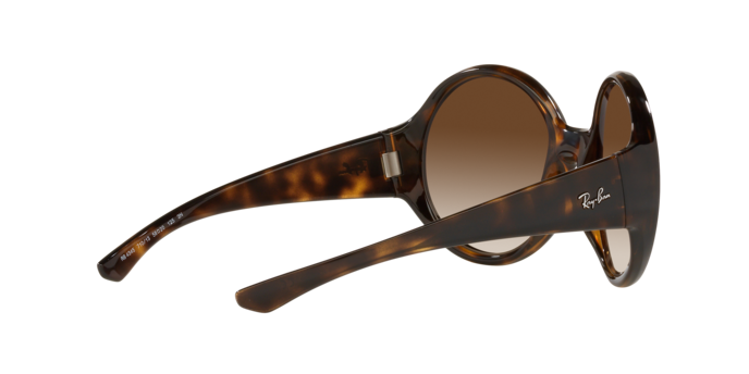Ray-Ban Sunglasses RB4345 710/13