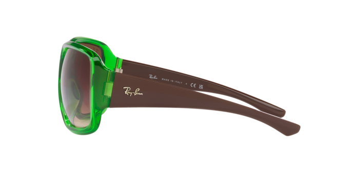 Ray-Ban Powderhorn Sunglasses RB4347 666113