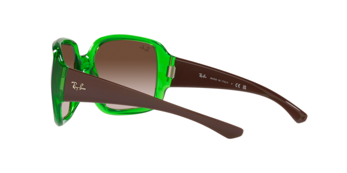 Ray-Ban Powderhorn Sunglasses RB4347 666113