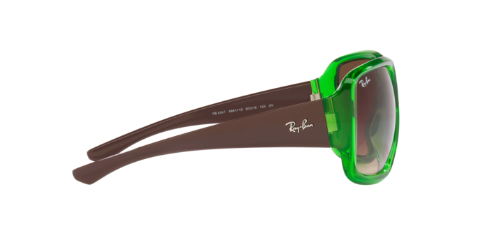 Ray-Ban Powderhorn Sunglasses RB4347 666113