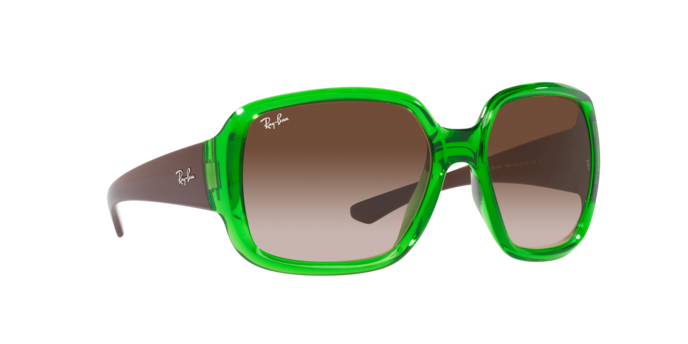 Ray-Ban Powderhorn Sunglasses RB4347 666113