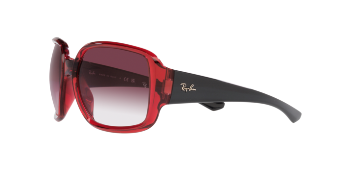 Ray-Ban Powderhorn Sunglasses RB4347 66628H