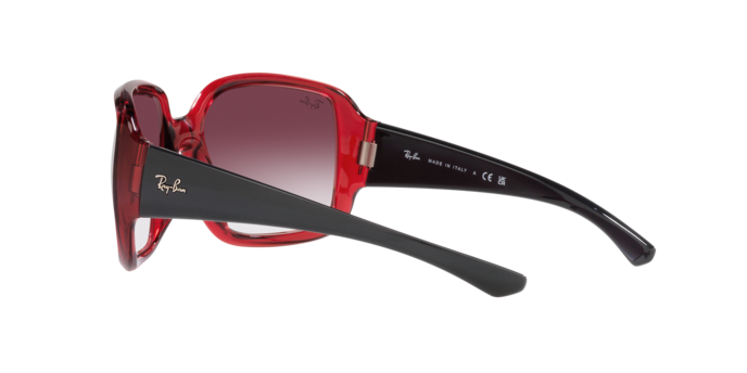 Ray-Ban Powderhorn Sunglasses RB4347 66628H