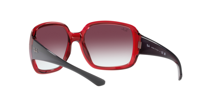 Ray-Ban Powderhorn Sunglasses RB4347 66628H