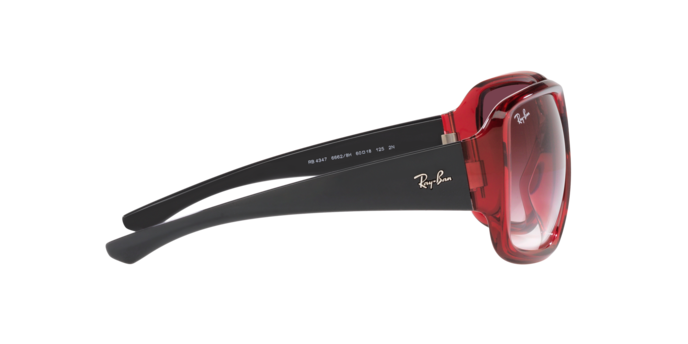 Ray-Ban Powderhorn Sunglasses RB4347 66628H