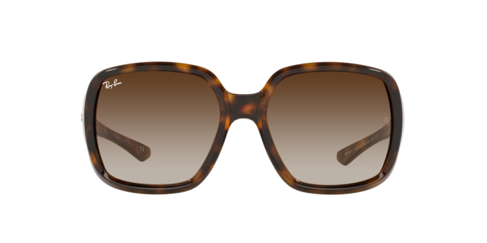 Ray-Ban Powderhorn Sunglasses RB4347 710/13