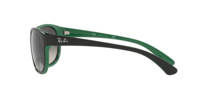 Ray-Ban Sunglasses RB4351 656811