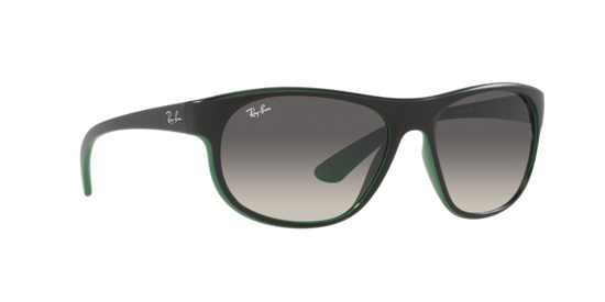 Ray-Ban Sunglasses RB4351 656811